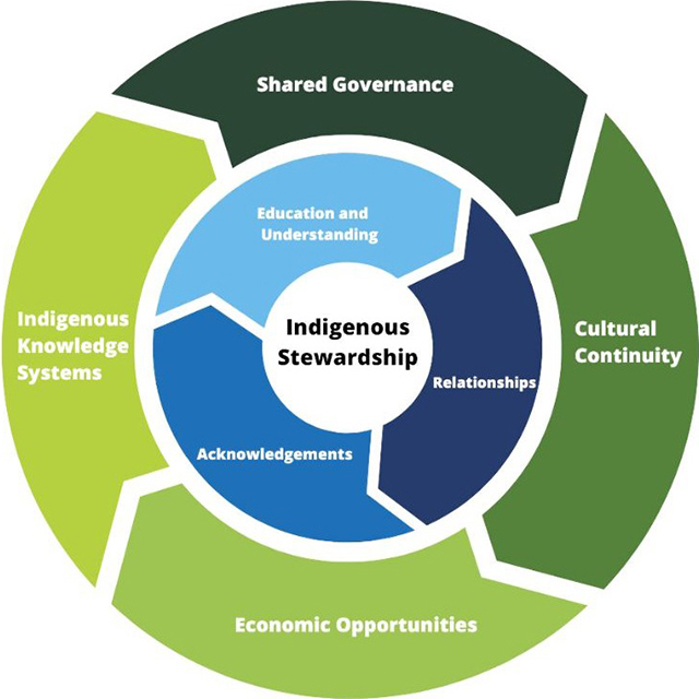 Indigenous Stewardship Framework, text version follows
