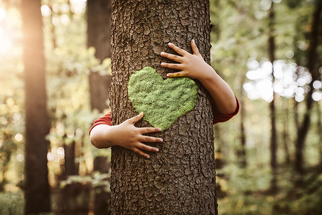 Tronc d’arbre en premier plan situé dans une forêt. Sur le tronc, on y retrouve un cœur en mousse et des bras faisant un câlin. 