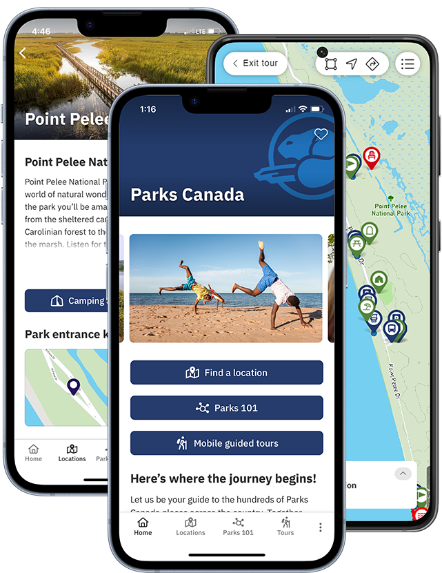 Three cell phones with the Parks Canada App displayed on their screens. The first screen shows navigation buttons and a bright photo, the second one shows a map with location pins, the third one shows a screen filled with text.