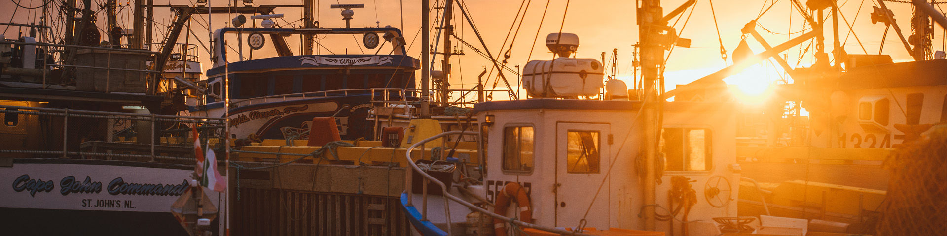 close-up of fishing boats at sunset
