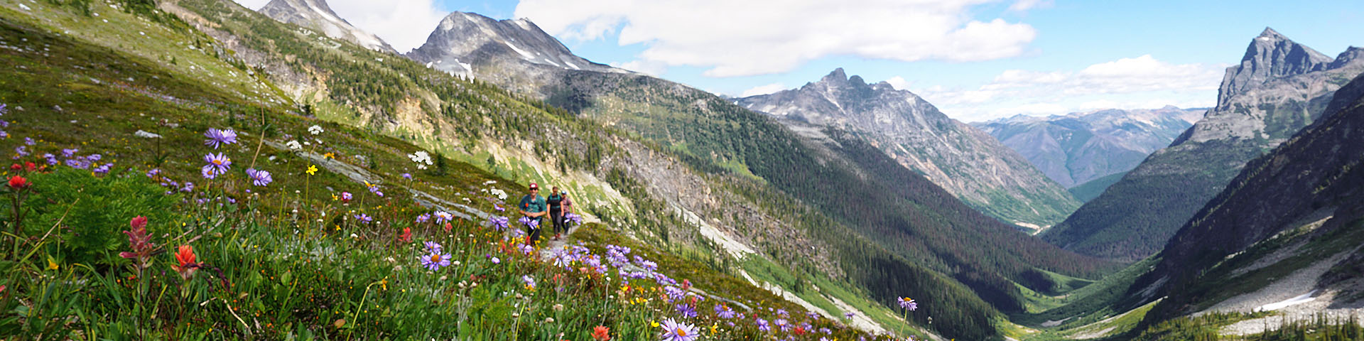 Two hikers waling in flower filled alpine meadows in Glacier national park