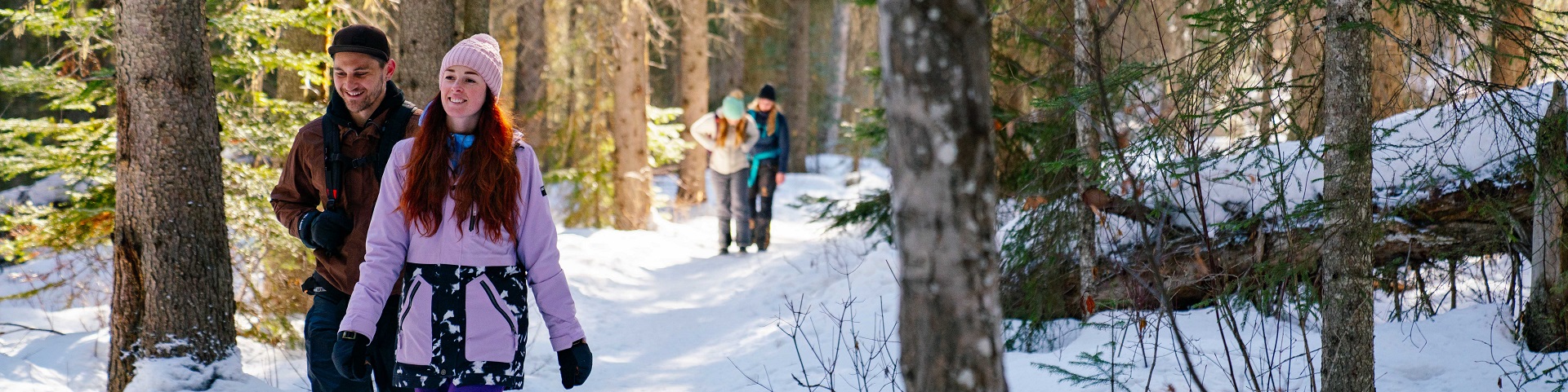 visitors walking in a snowy forest