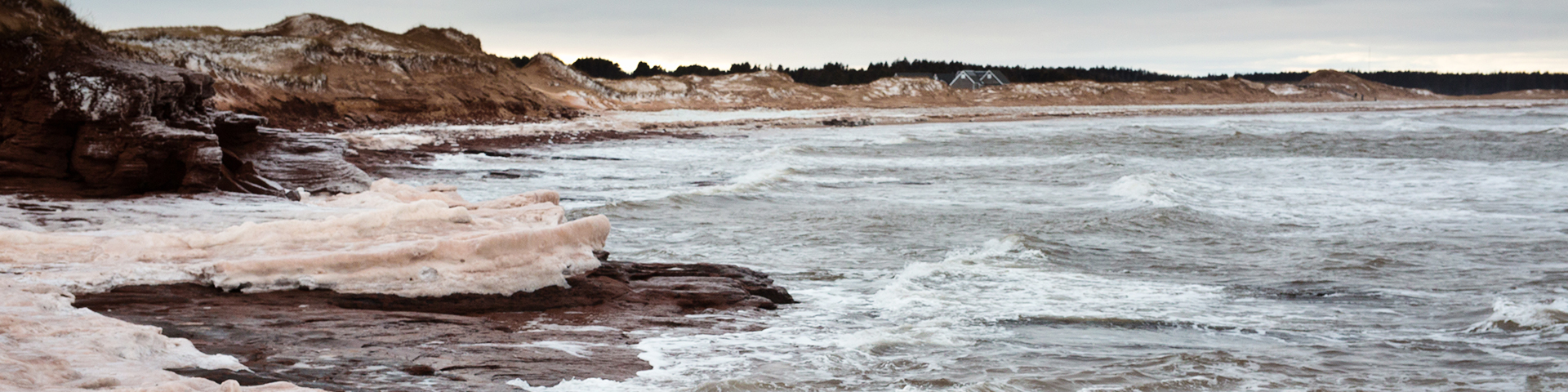 Eaux agitées et glace de rive le long de la côte dans le parc national de l'Î.-P.-É.