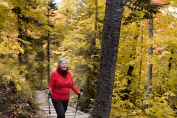 A woman equipped with walking sticks climbs the stairs of a trail