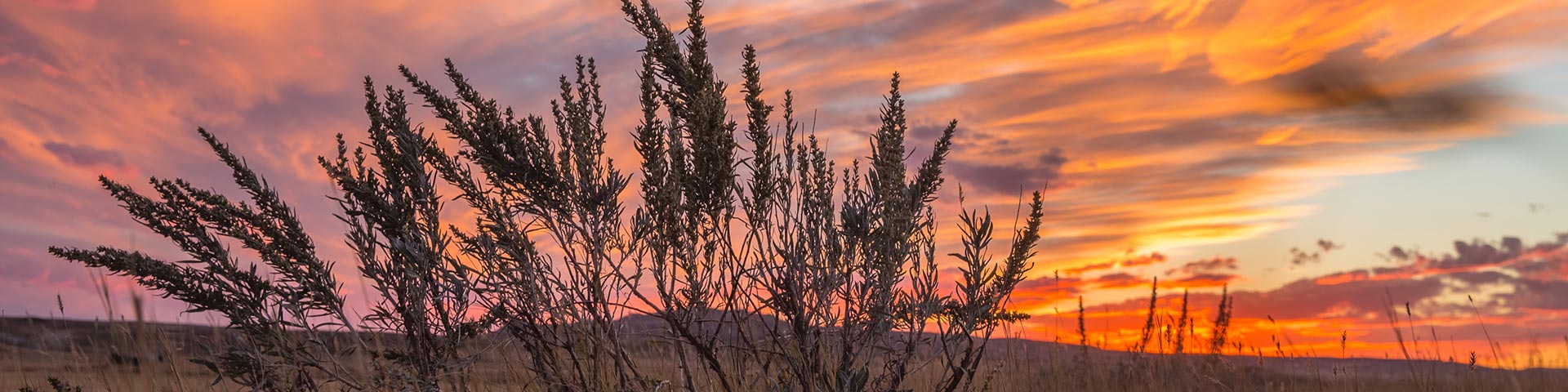 Scenic sunset landscape in September at Grasslands National Park.