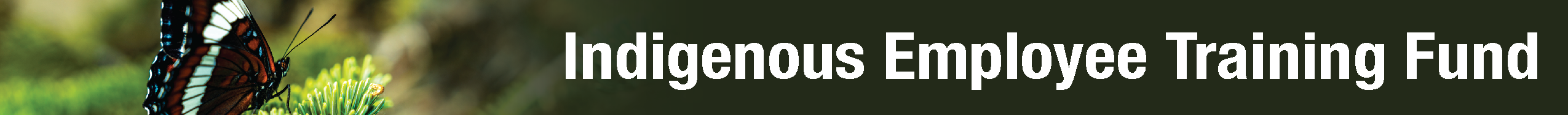 Indigenous Employee Training Fund (IETF)
