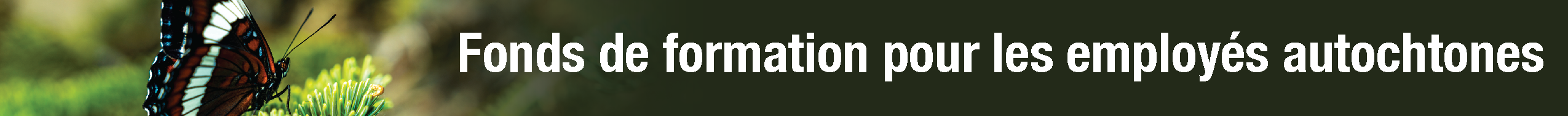 Fonds pour la formation des employés autochtones