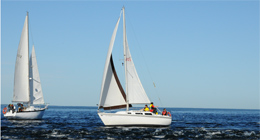 Sailboats are carried by the wind on the St. Lawrence River.