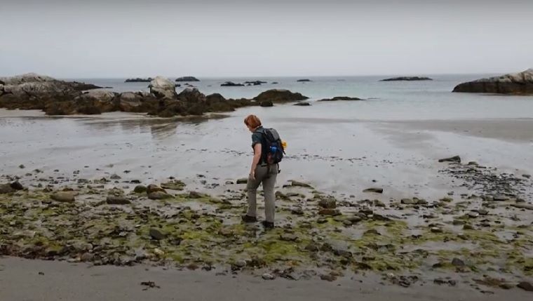 The Great Canadian Crab Hunt