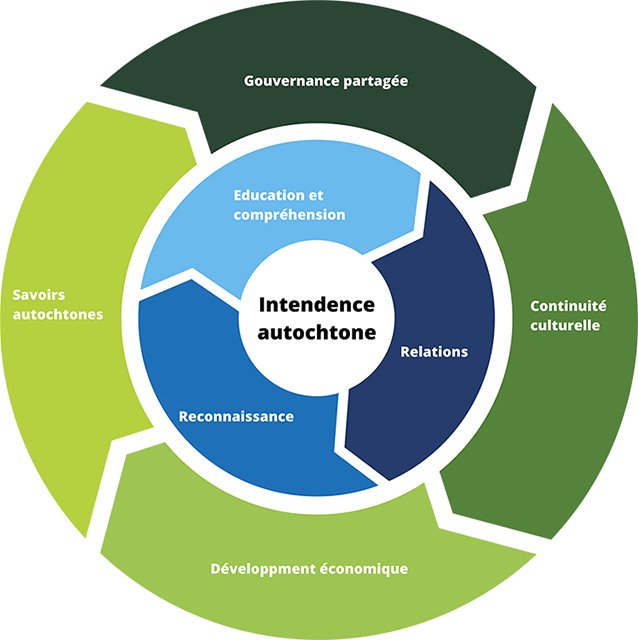 Illustration du Cercle d’intendance autochtone