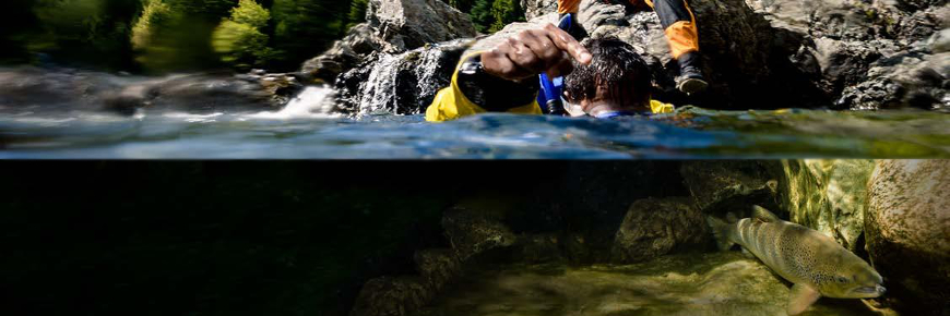 Vue sur l’eau et vue sous-marine d’un saumon qui nage et d’un plongeur avec tuba prenant une photo à la surface.