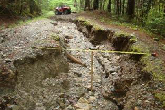 A gully, several feet wide and deep, formed through erosion.