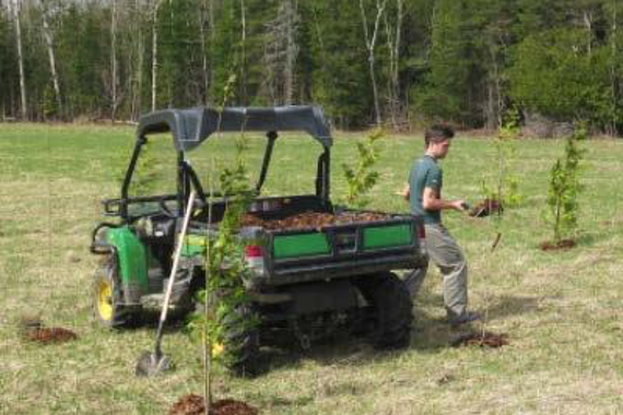 A man removing a shovelful of mulch from the back of a small buggy.