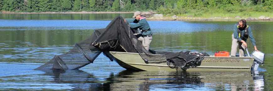 DeuxÂ hommes dans un bateau doté d’un moteur hors-bord manipulant un grand filet allongé.