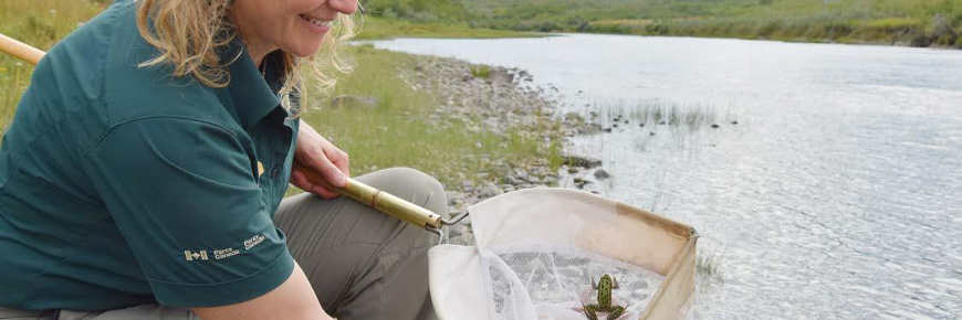 Des travailleurs plantant des semis dans une parcelle de gravier.