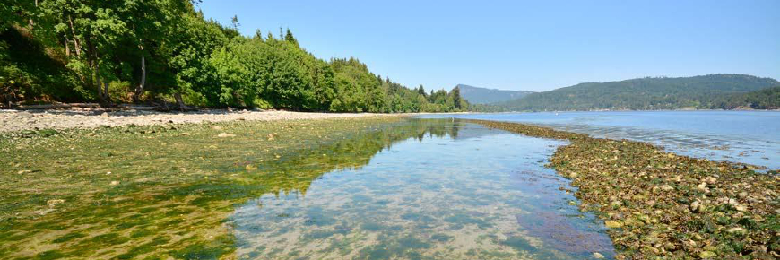 Eaux peu profondes à marée basse délimitées par un petit barrage d’enrochements.