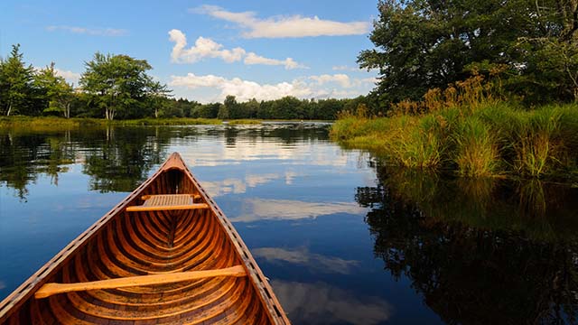 Proue d’un canot en bois dans une eau calme et réfléchissante. Des herbes hautes bordent l’eau, qui est entourée d’arbres et d’un ciel clair.