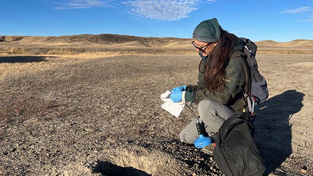 Emily Hall, in uniform and blue medical gloves, holds a plumbing snake and testing kit, and kneels on grassland beside a prairie dog burrow.