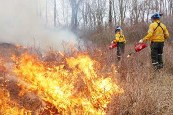 Deux travailleurs avec des lance-flammes portatifs à côté d’un brûlage de champ.