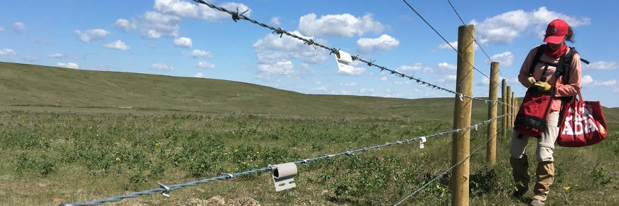 A woman standing at a barbed wire fence in a prairie landscape.