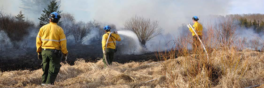 TroisÂ personnes vêtues d’équipement de protection portant des tuyaux d’arrosage dans un paysage où se dégage la fumée.