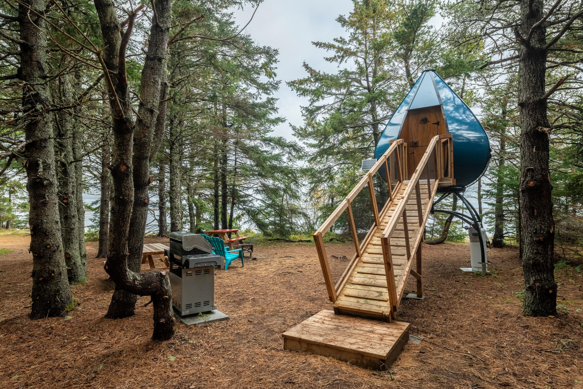 Oasis accommodation in the forest. Parc national Kouchibouguac.