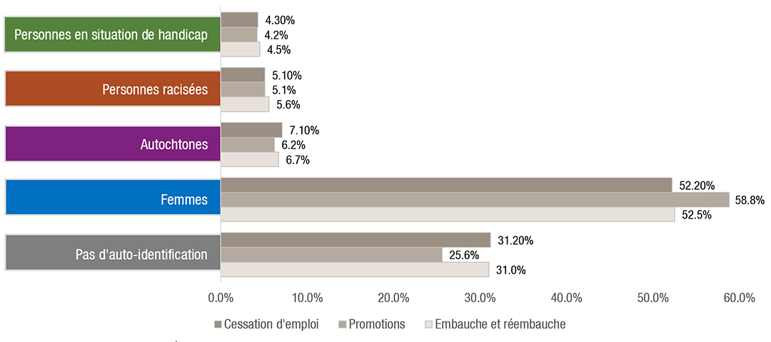 Figure 7. Profil des embauches, des réembauches, des promotions et des cessations d’emploi - La description textuelle suit