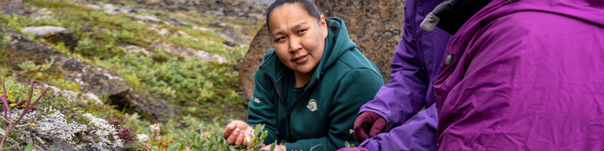 A Parks Canada employee provides information about local flora in Auyuittuq National Park in Nunavut.