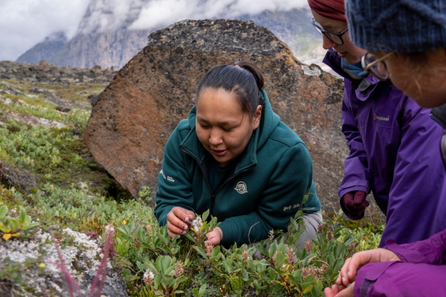 A Parks Canada employee provides information about local flora in Auyuittuq National Park in Nunavut.