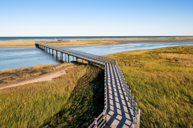 Kellys beach boardwalk.