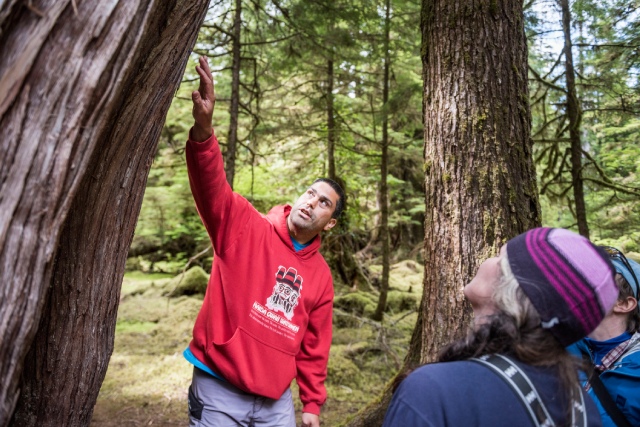 Watchmen at Hlk'yah GawGa (Windy Bay) lead visitors on a guided tour through old growth forest in early July.