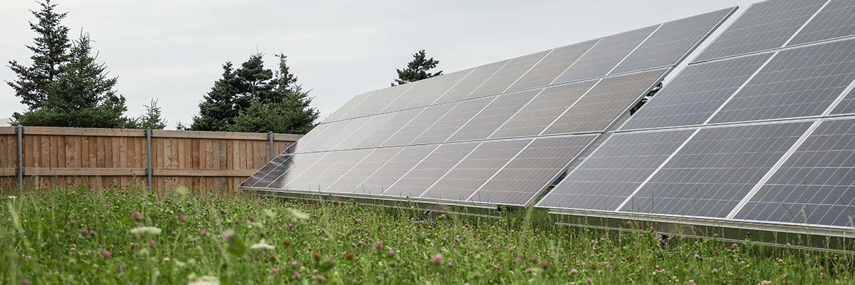 Des panneaux solaires orientés vers le ciel sont posés sur l’herbe verte du parc national des Hautes-Terres-du-Cap-Breton.