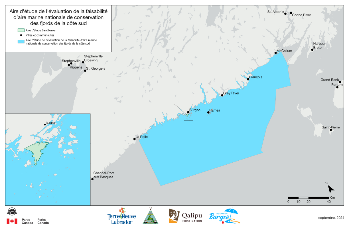 Zone d’étude pour l’évaluation de la faisabilité de l’aire marine nationale de conservation dans la région marine du chenal Laurentien, en Terre-Neuve — la version textuelle suit.