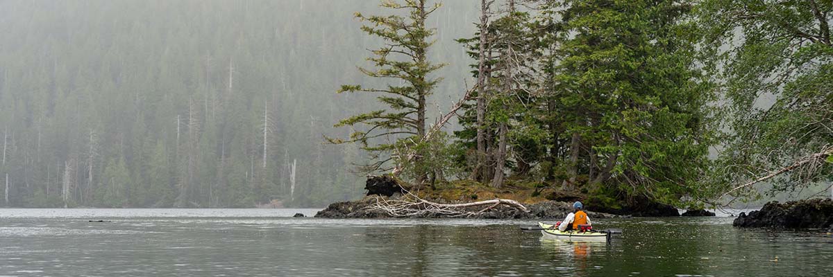 Single kayaker views bald eagle in Island Bay, Gwaii Haanas National Marine Conservation Area and Haida Heritage Site.