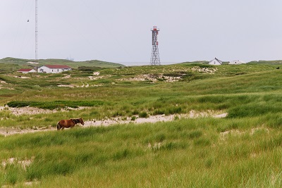 Facilities in Sable Island National Park Reserve