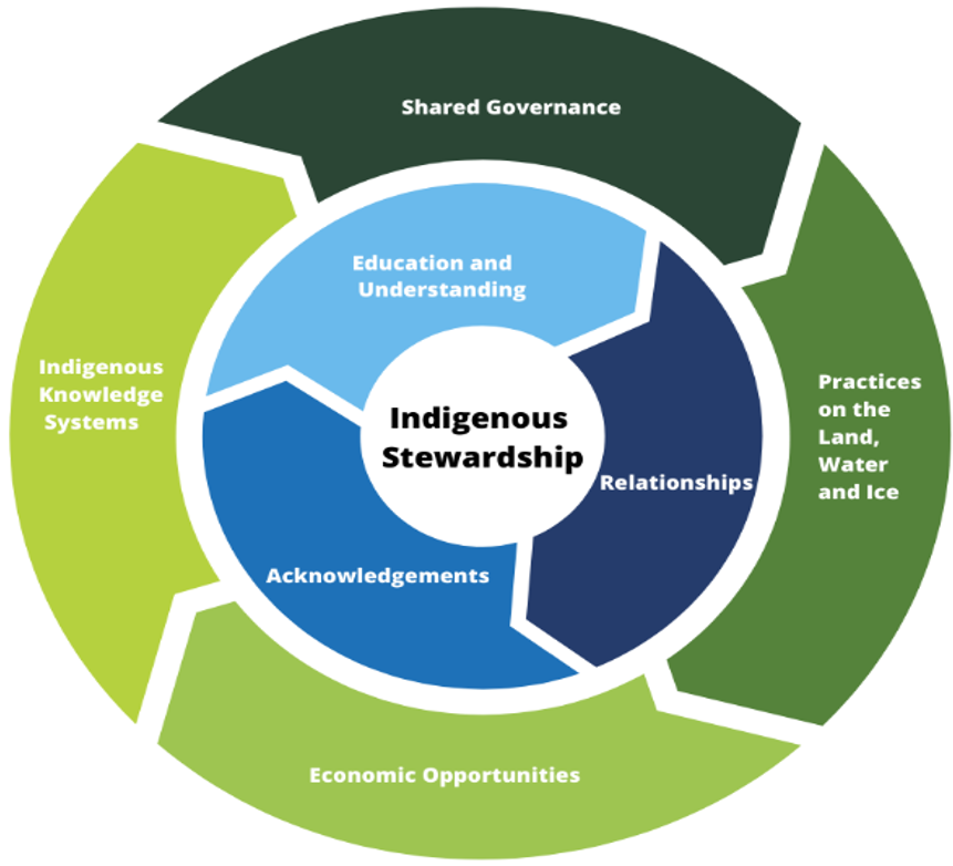 Indigenous stewardship circle illustration