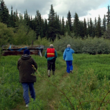 A few people walking in a forest and tall grass