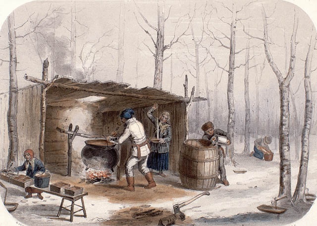Print depicting sugar making in Canada in a sugar bush, 1849