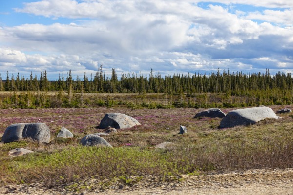 Landscade with rocks and land