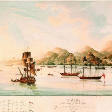 De nombreux bateaux sur l'eau