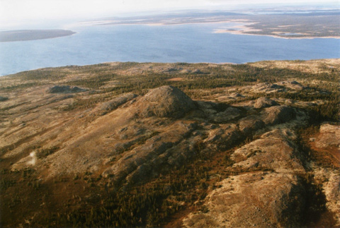 An aerial view of hills sparsely covered by trees, with a large body of water in the distance.