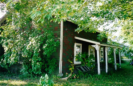 Building surrounded by trees