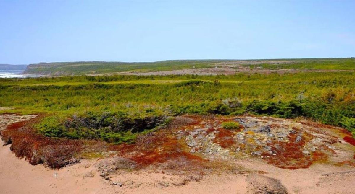 Photo of a landscape including a blue sky