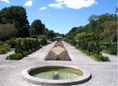 A fountain and a garden
