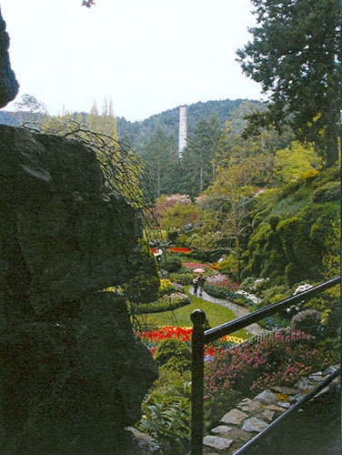 General view of a garden