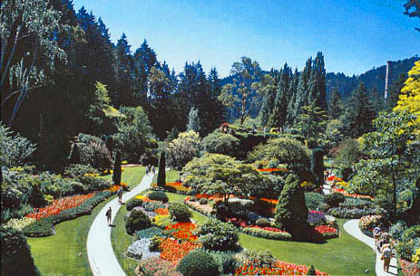 General view of a garden and trees
