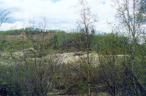 Part of land with trees and rocks