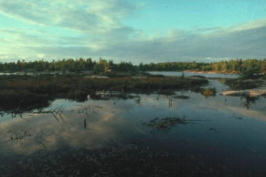 Landscape with trees and sky reflecting on water at Beausoleil Island national historic site