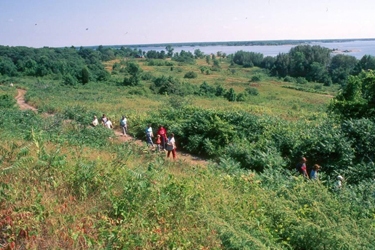 Landscape and a path where people walk, Cedar Spring, southern reserve period village at Beausoleil Island National Historic Site