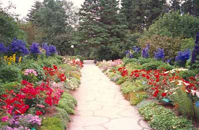 Photo of a garden path with colourful flowers 